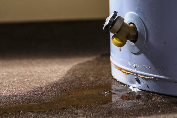 Best 24/7 water damage repair  in Woodlawn Beach, FL