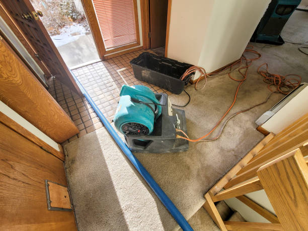 Best Ceiling water damage repair  in Woodlawn Beach, FL