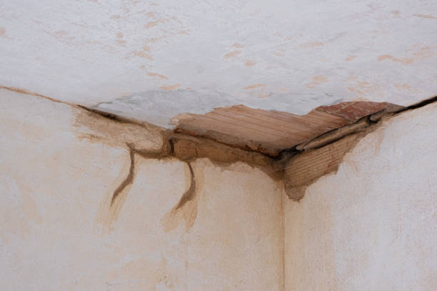 Best Water damage restoration near me  in Woodlawn Beach, FL