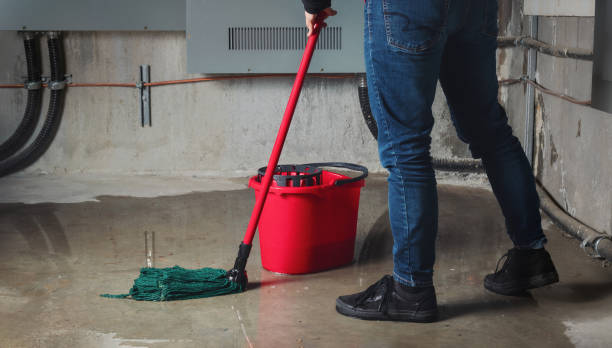 Best Local water damage restoration  in Woodlawn Beach, FL