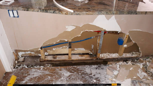 Best Water damage contractors near me  in Woodlawn Beach, FL