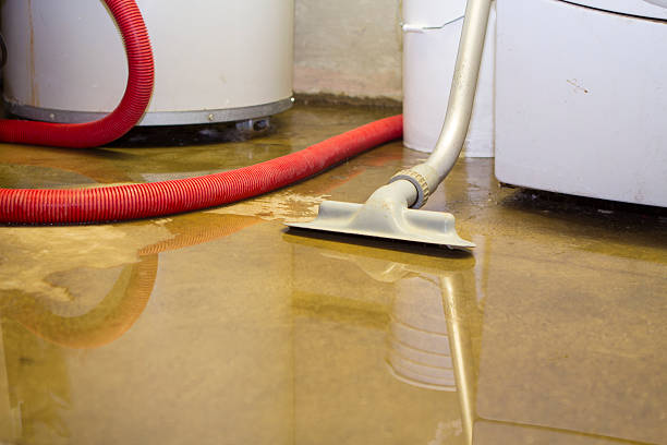  Woodlawn Beach, FL Water damage restoration Pros
