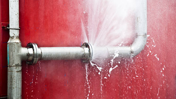 Best Flood damage cleanup  in Woodlawn Beach, FL